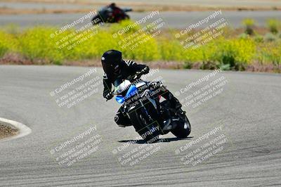 media/May-10-2024-2WTD (Fri) [[c88d7990af]]/Group B/Session 3-Turn 4 and 6/